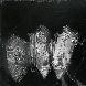 1971 Senza titolo (farfalle). Tecnica mista su tela, 55x46
