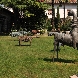 Villa Romano (manzano), cavallo con cavaliere